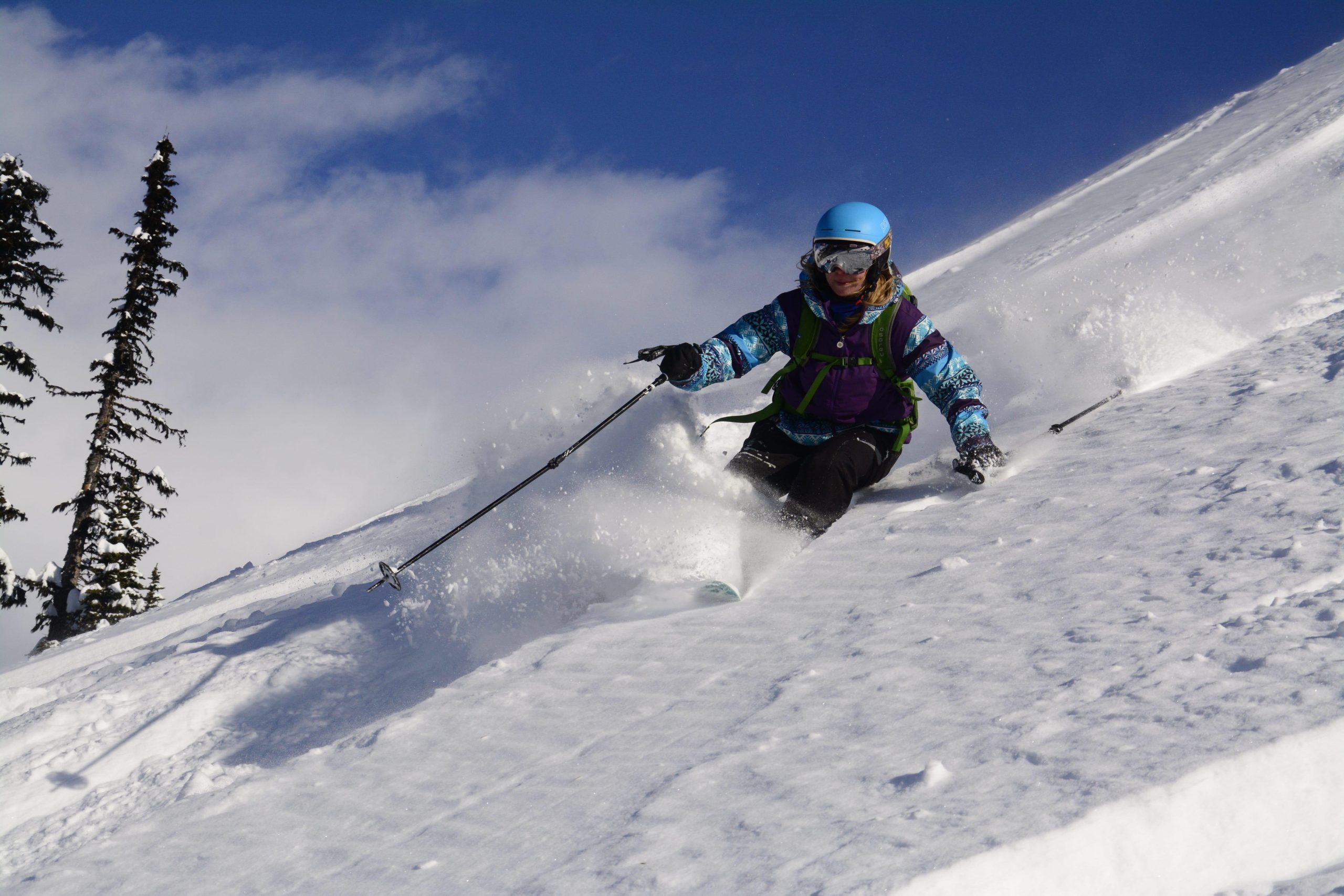 Ski Instructor Course Photo