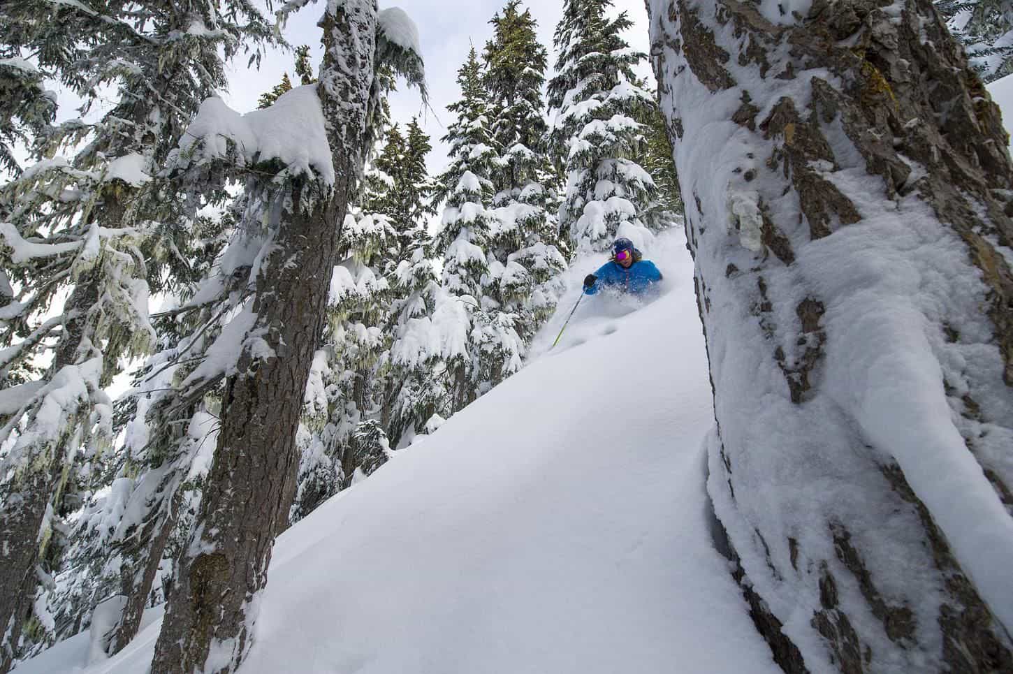 powder ski courses whistler