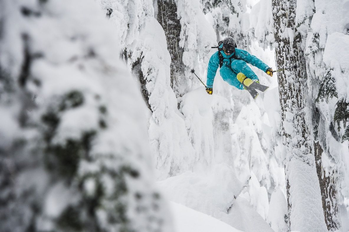 Freeride лес