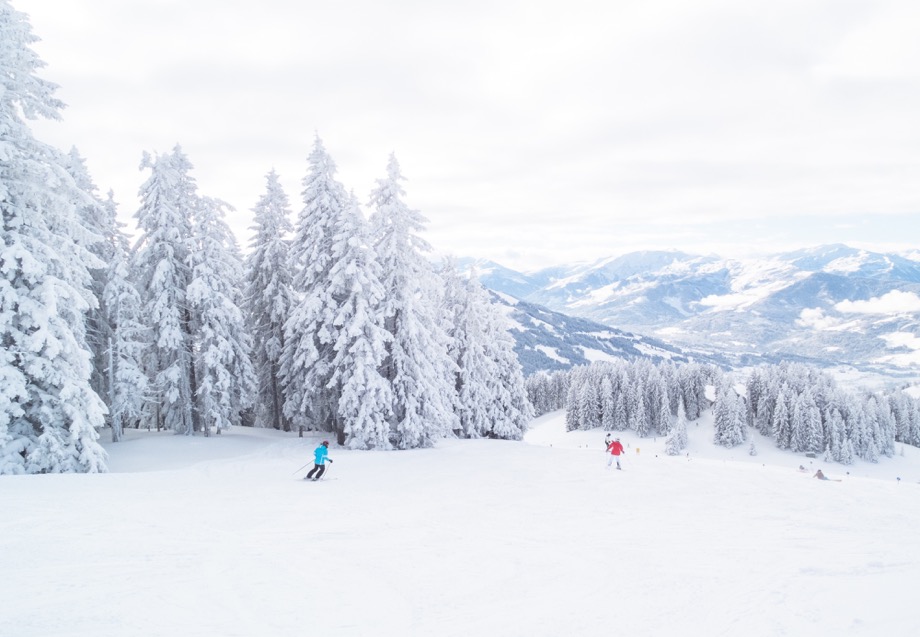 Skiing Trees Snow