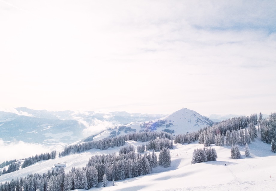 Winter Ski Snow Trees